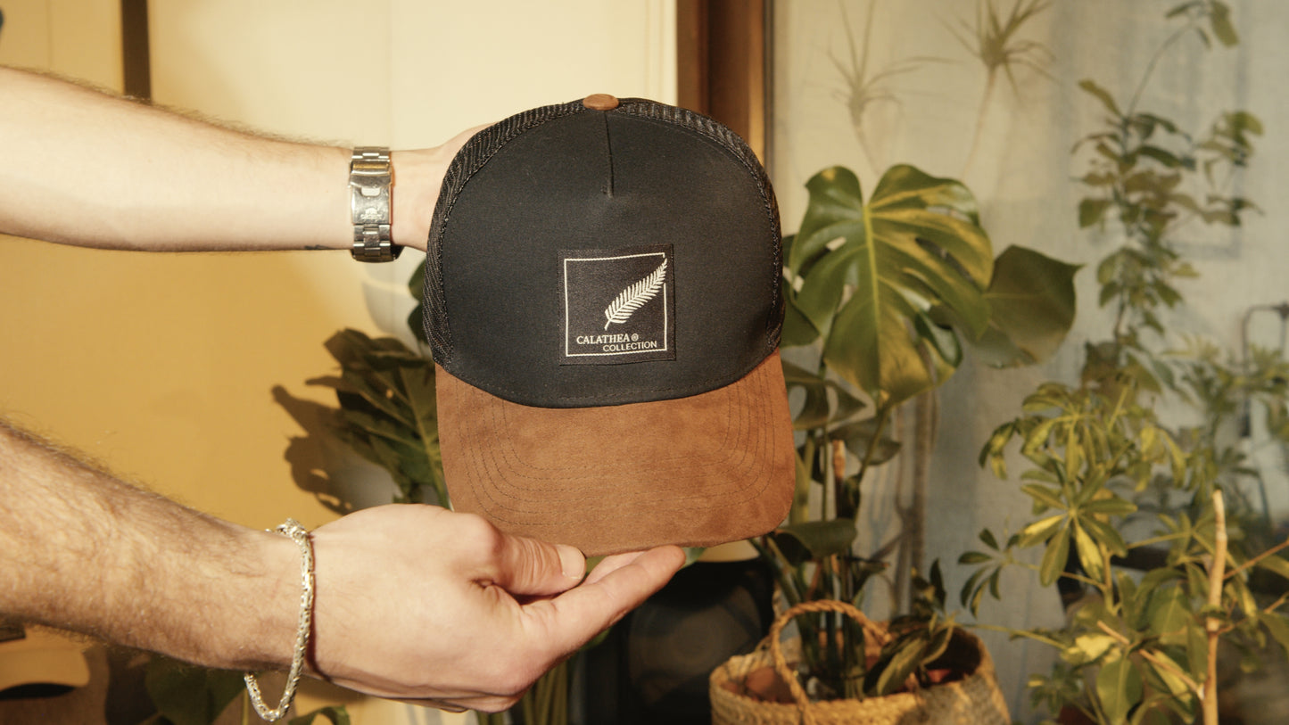 Jockey Calathea Black