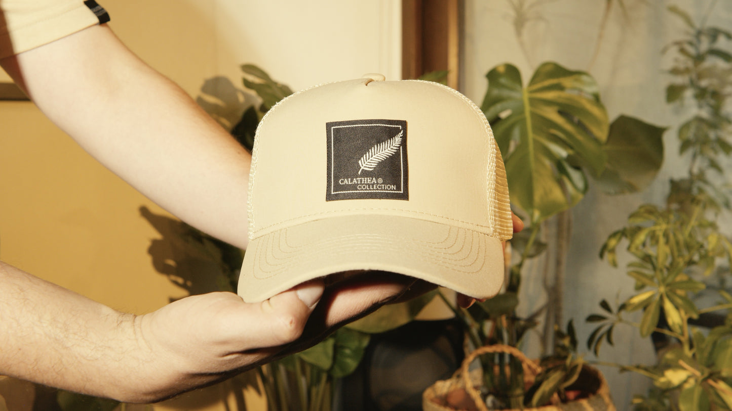 Jockey Calathea Beige