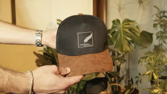 Jockey Calathea Black